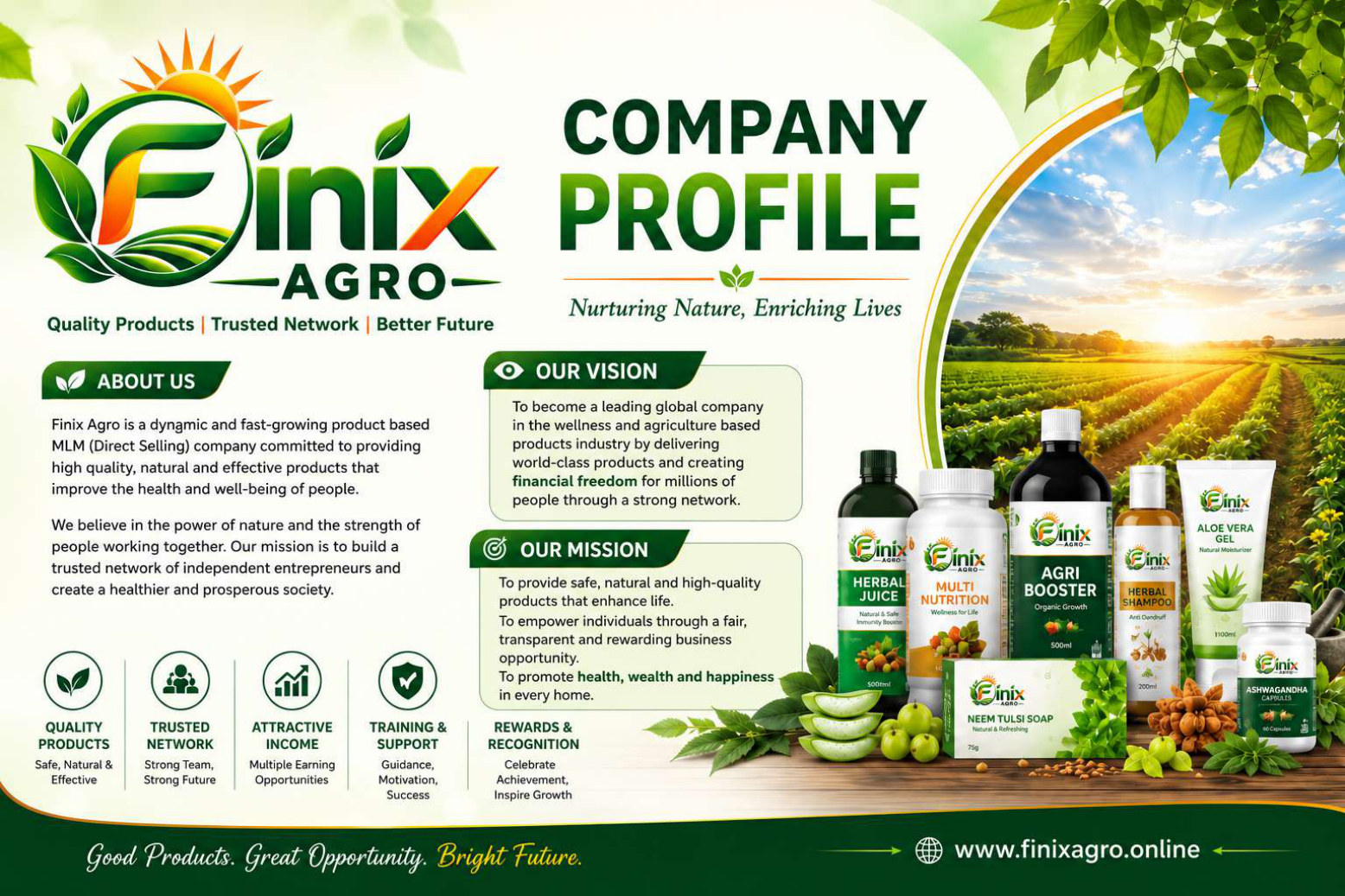 Company Profile